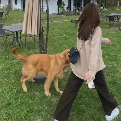 多元影像