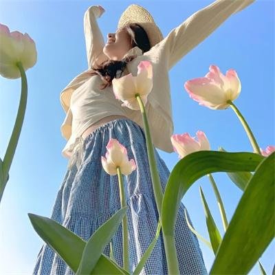 美国派:高潮再起